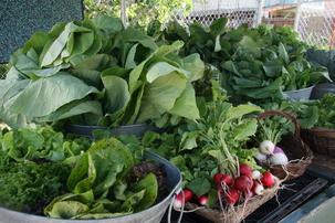 produce at farm stand 2